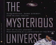 The Mysterious Universe: Supernovae, Dark Energy, and Black Holes