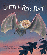 Little Red Bat