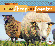 From Sheep to Sweater