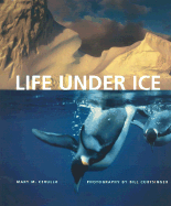 Life Under Ice