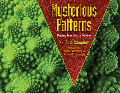 Mysterious Patterns: Finding Fractals in Nature