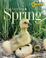 Everything Spring