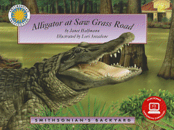 Alligator at Saw Grass Road