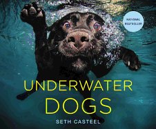 Underwater Dogs Book Cover Image