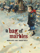 A Bag of Marbles Book Cover Image