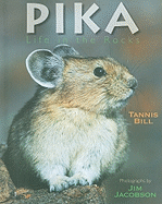 Pika: Life in the Rocks