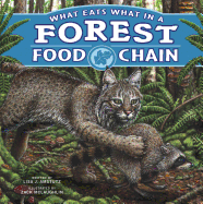 What Eats What in a Forest Food Chain