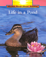 Life in a Pond