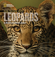 Face to Face with Leopards