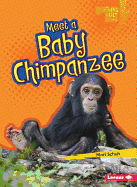 Meet a Baby Chimpanzee