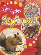 Squirrels