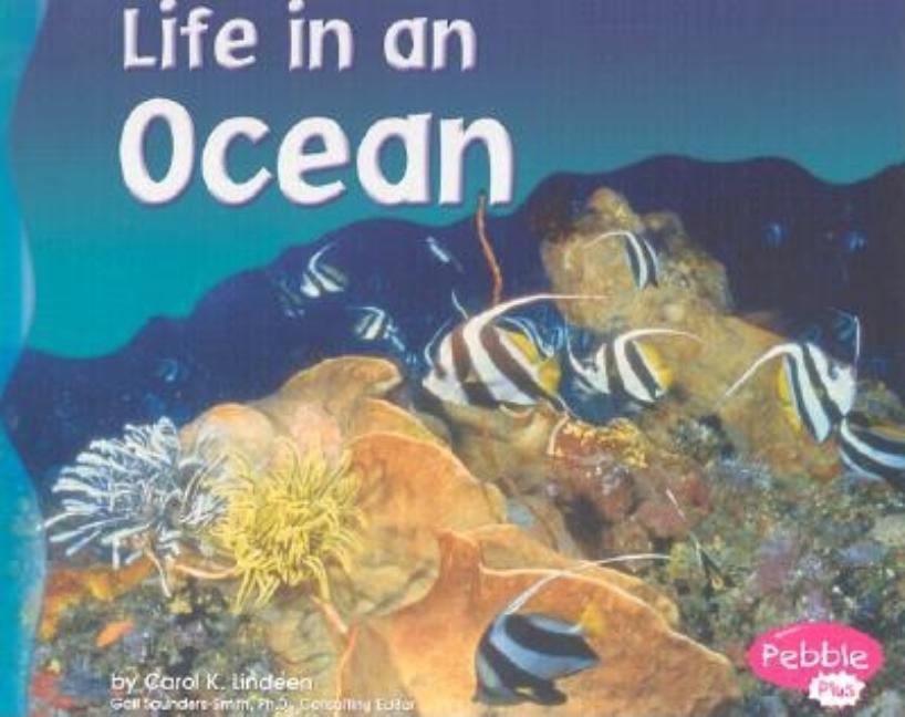 Life in an Ocean