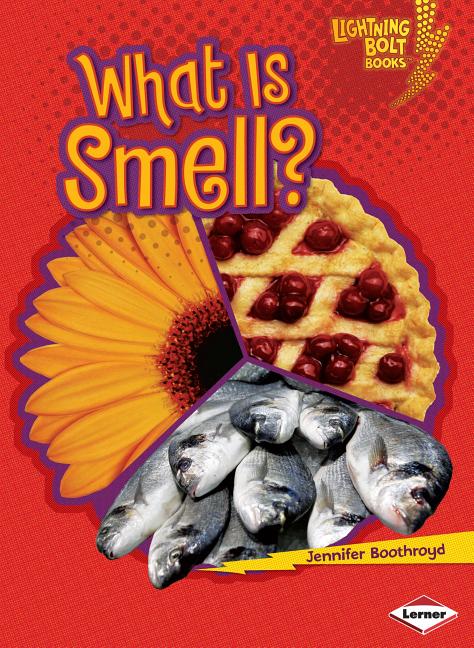 What Is Smell?