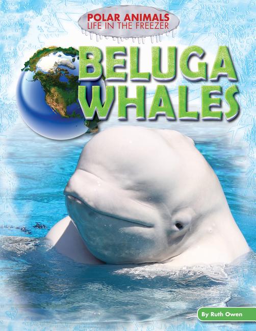 Beluga Whales