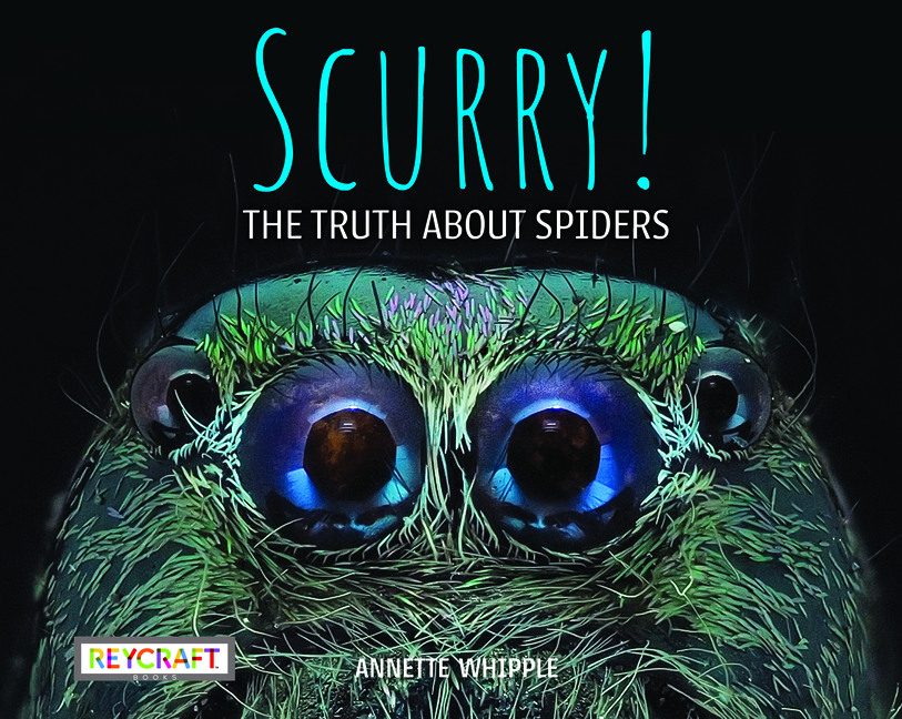 Scurry!: The Truth about Spiders