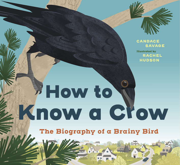 How to Know a Crow: The Biography of a Brainy Bird