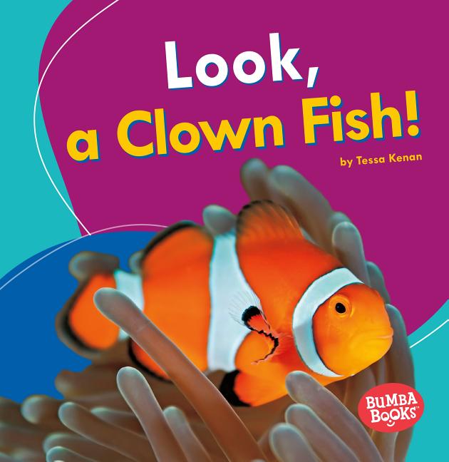 Look, a Clown Fish!