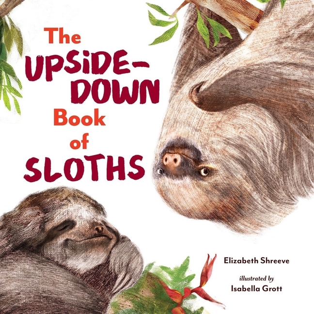 Upside-Down Book of Sloths, The