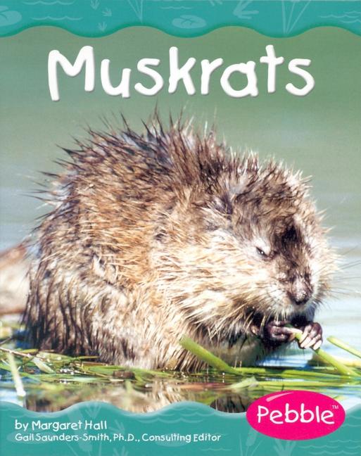 Muskrats