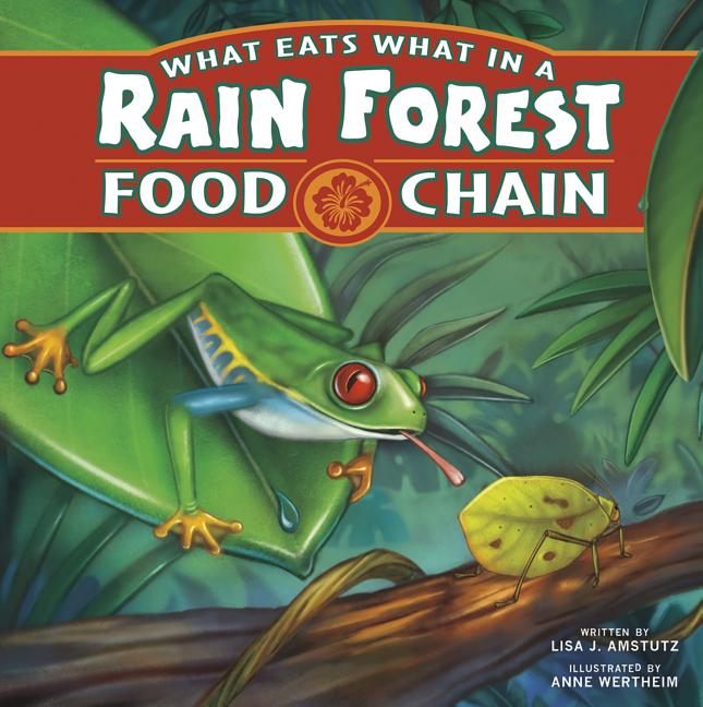 What Eats What in a Rain Forest Food Chain