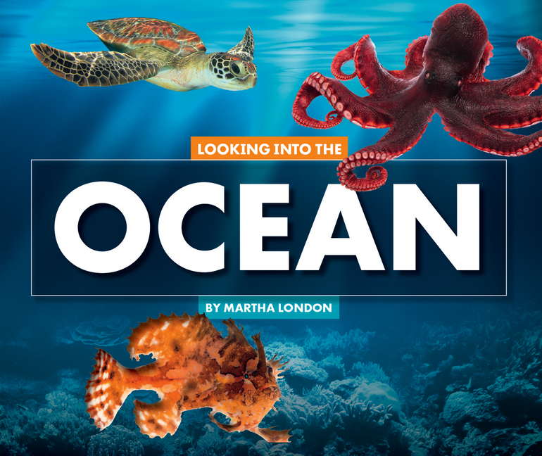 Looking Into the Ocean