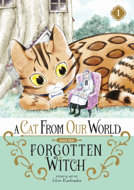 Cat from Our World and the Forgotten Witch, A