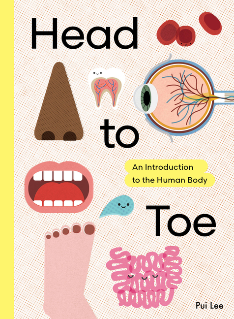 Head to Toe: An Introduction to the Human Body