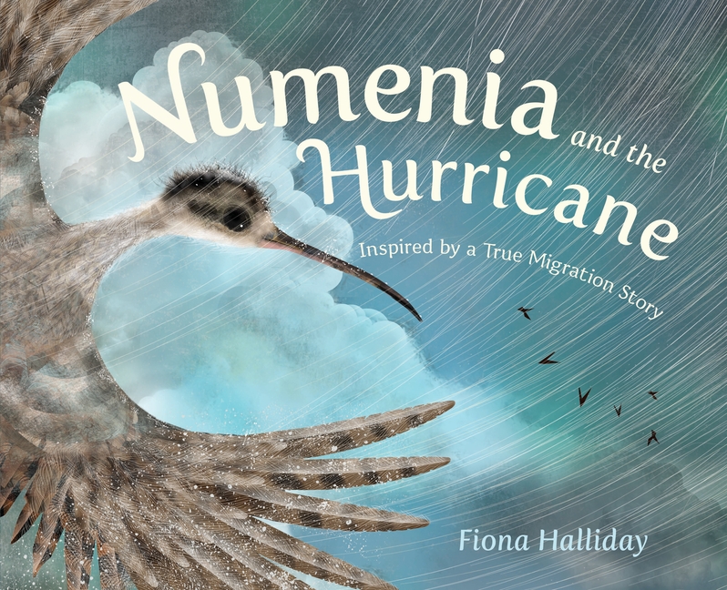 Numenia and the Hurricane: Inspired by a True Migration Story