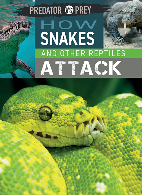 How Snakes and Other Reptiles Attack