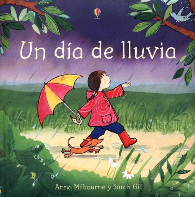 Un día de lluvia