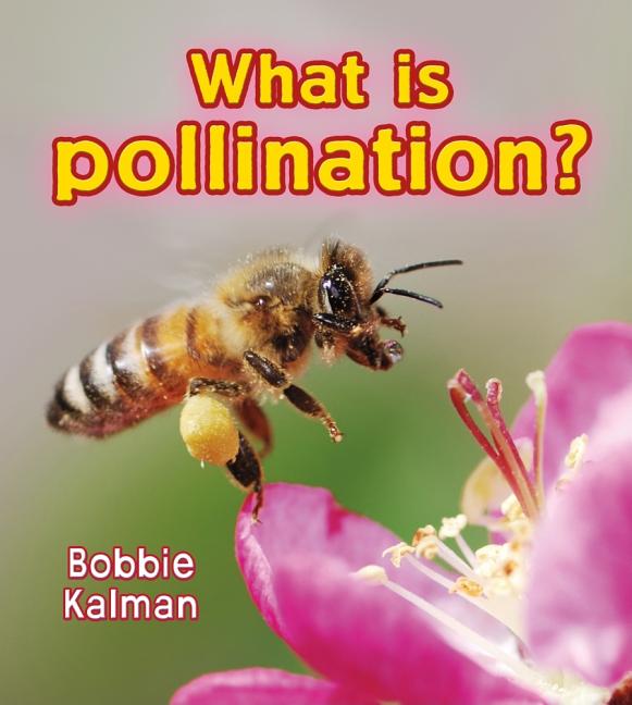 What Is Pollination?