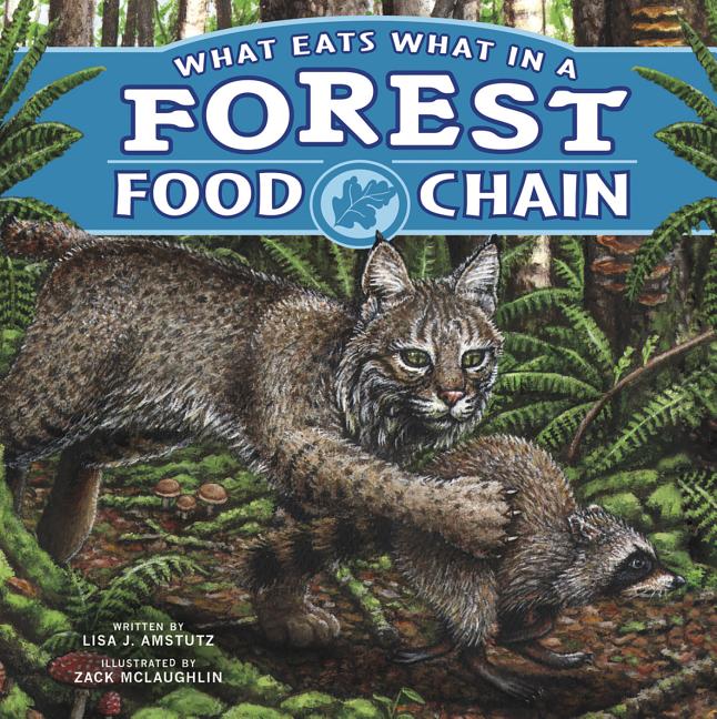 What Eats What in a Forest Food Chain