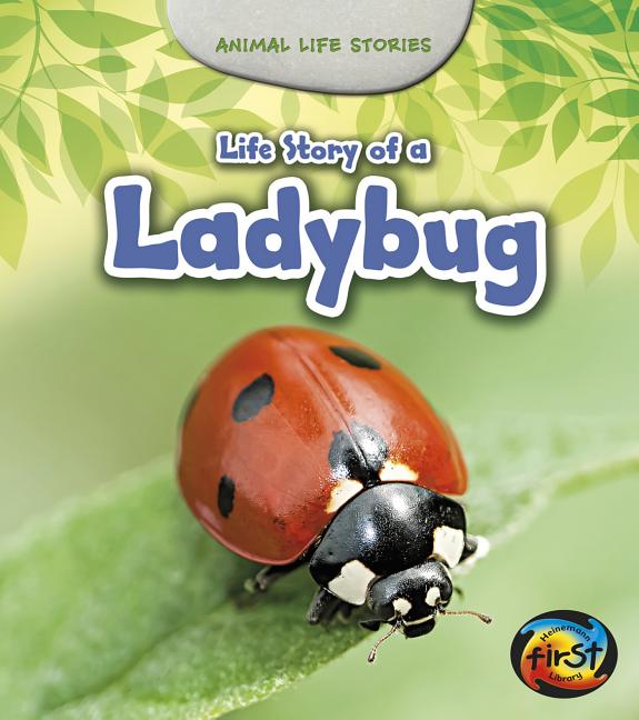 Life Story of a Ladybug