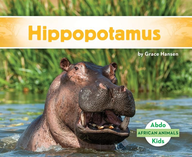 Hippopotamus