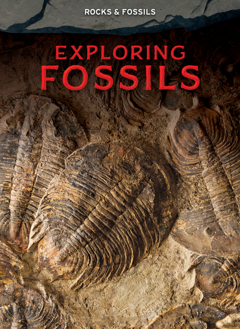 Exploring Fossils