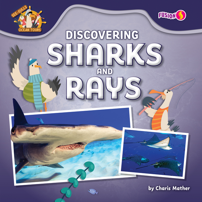 Discovering Sharks and Rays