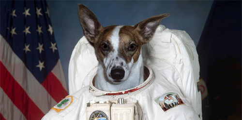 First Dog on the Moon