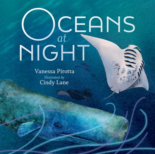 Oceans at Night