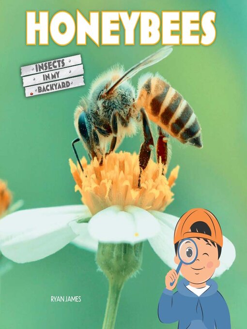 Honeybees