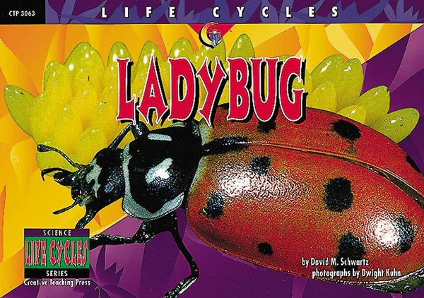 Ladybug